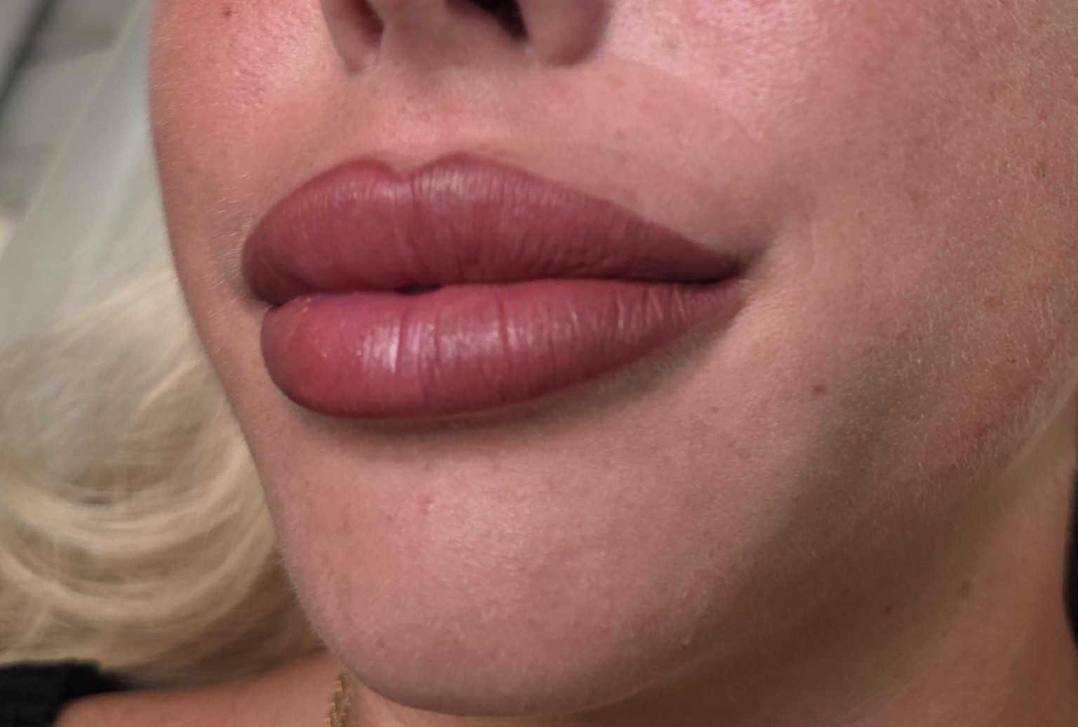 Lip Blush Finished Result